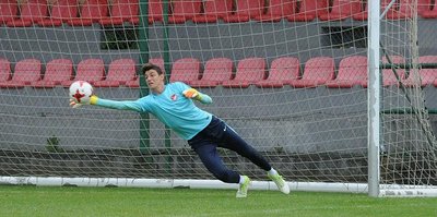 Berke Özer, Premier Lig yolcusu