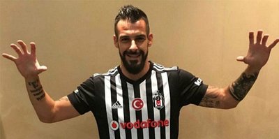 İspanyol boğası yeni yuvasında